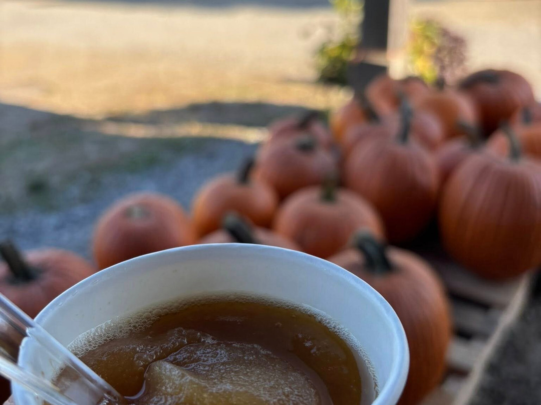 Berlin Orchards-Berlin必去景点