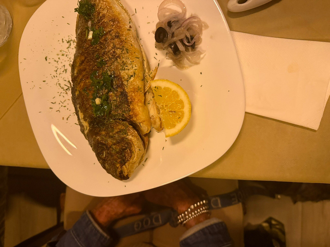 Trattoria Il Gallo Bianco