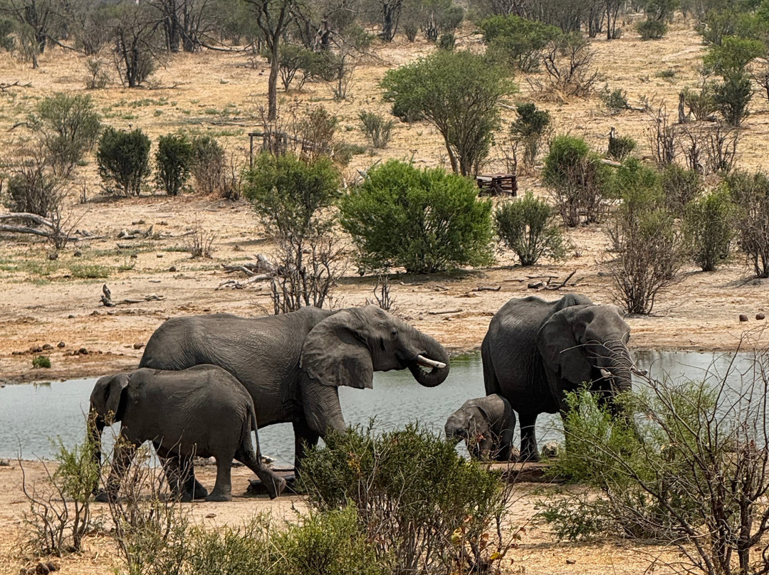 蔓威丛林营地主图