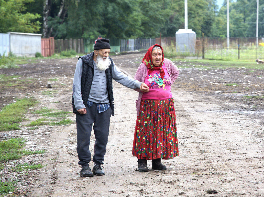 True Romania Tours-阿拉德必去景点