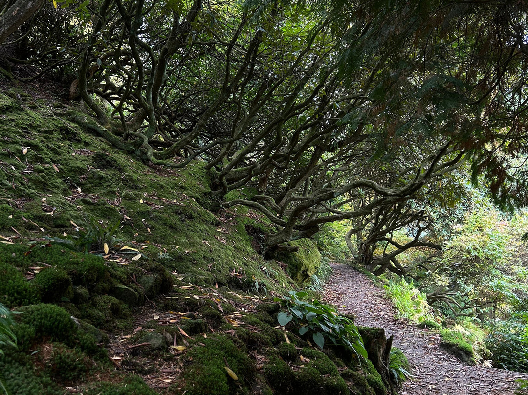Botanischer Garten-巴特尚道必去景点