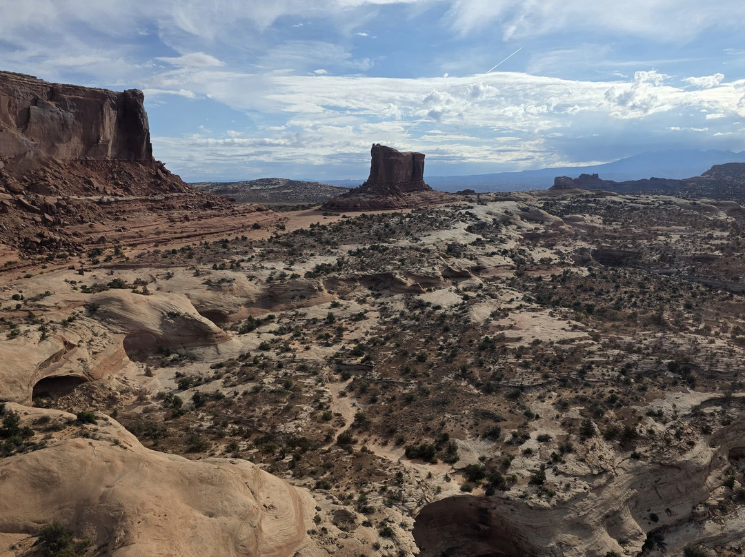 Redtail Air Adventures-莫阿布必去景点