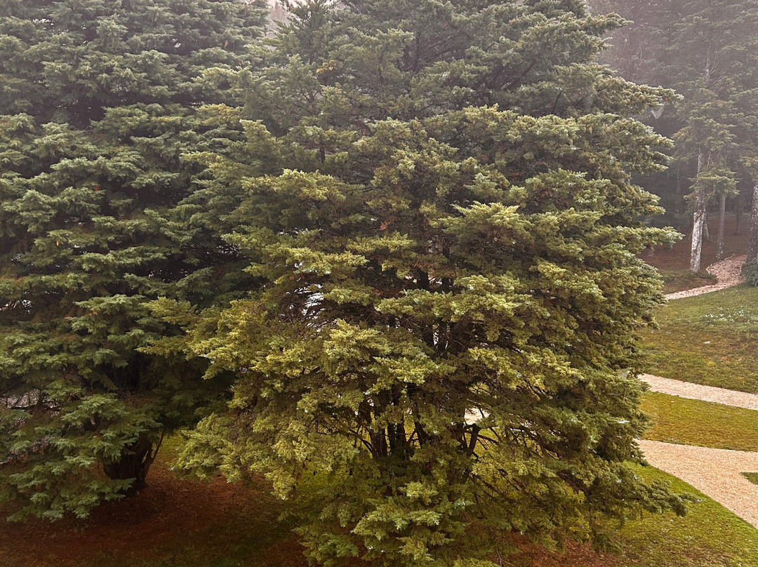 Balneario Guitiriz Spa-Guitiriz必去景点
