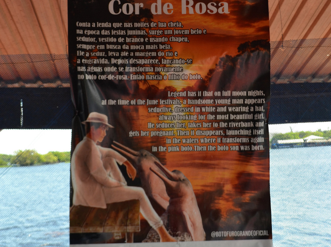 Pink Dolphins Floating Platform-Novo Airao必去景点