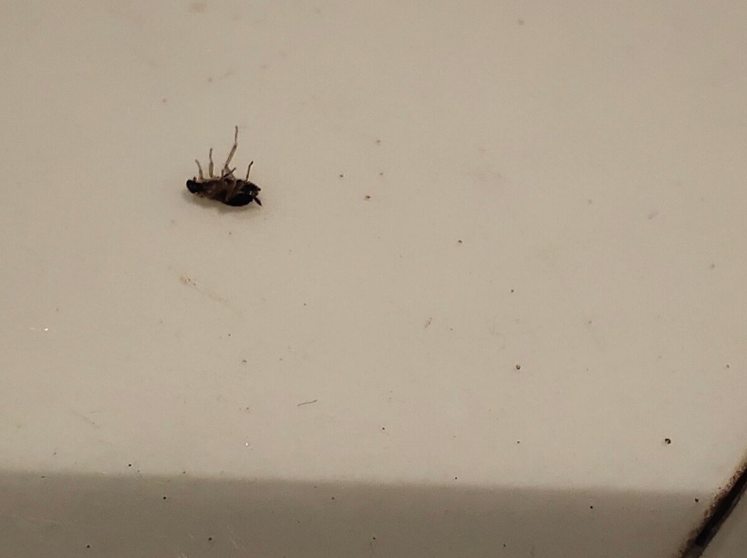 Hotel Grand Canyon主图