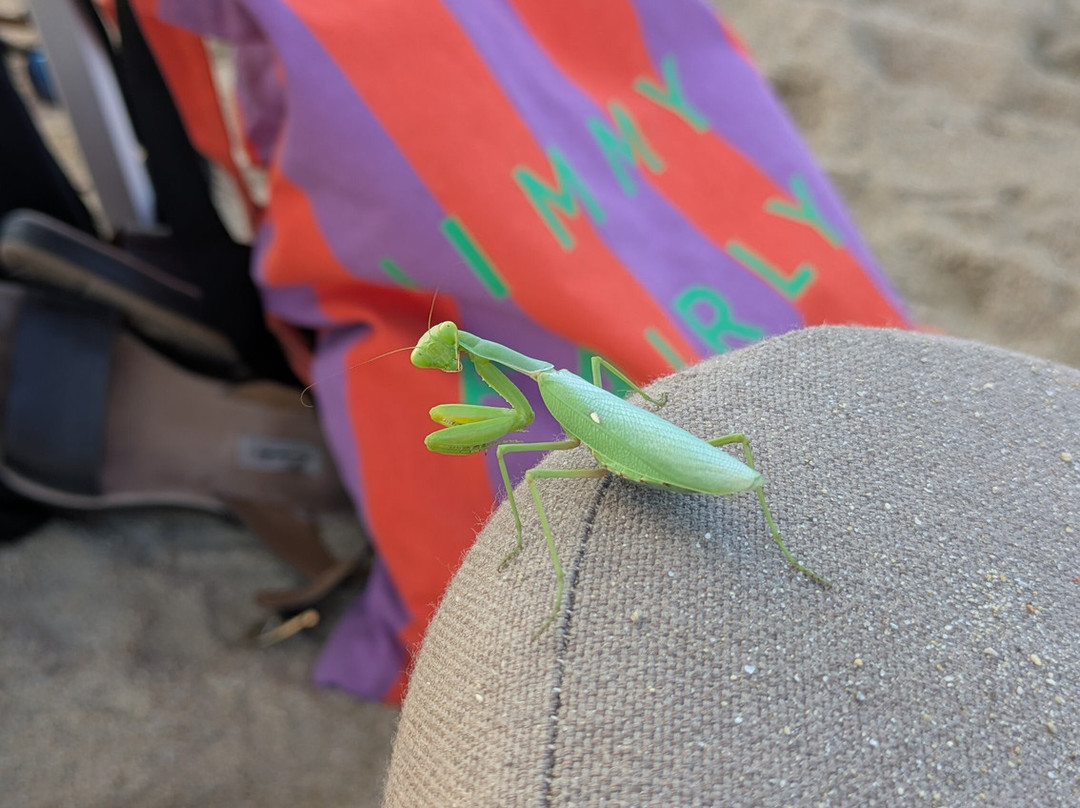 Boudouriani House主图