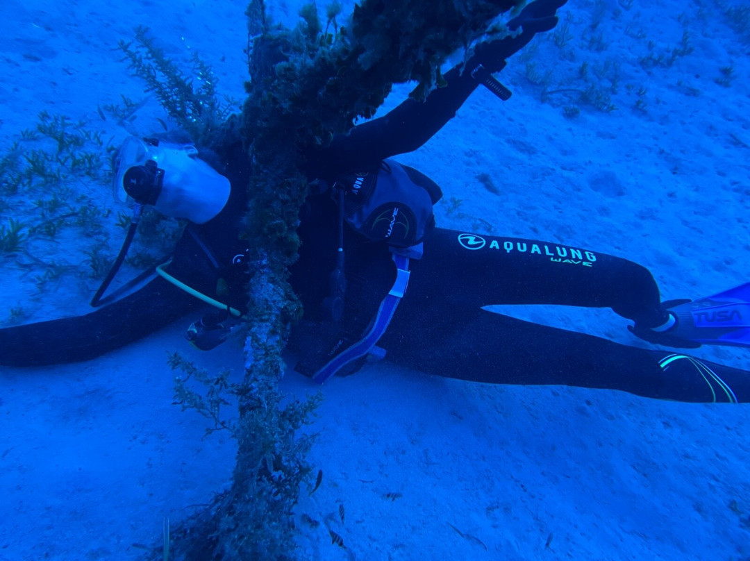 Dawn Diving-卡拉必去景点