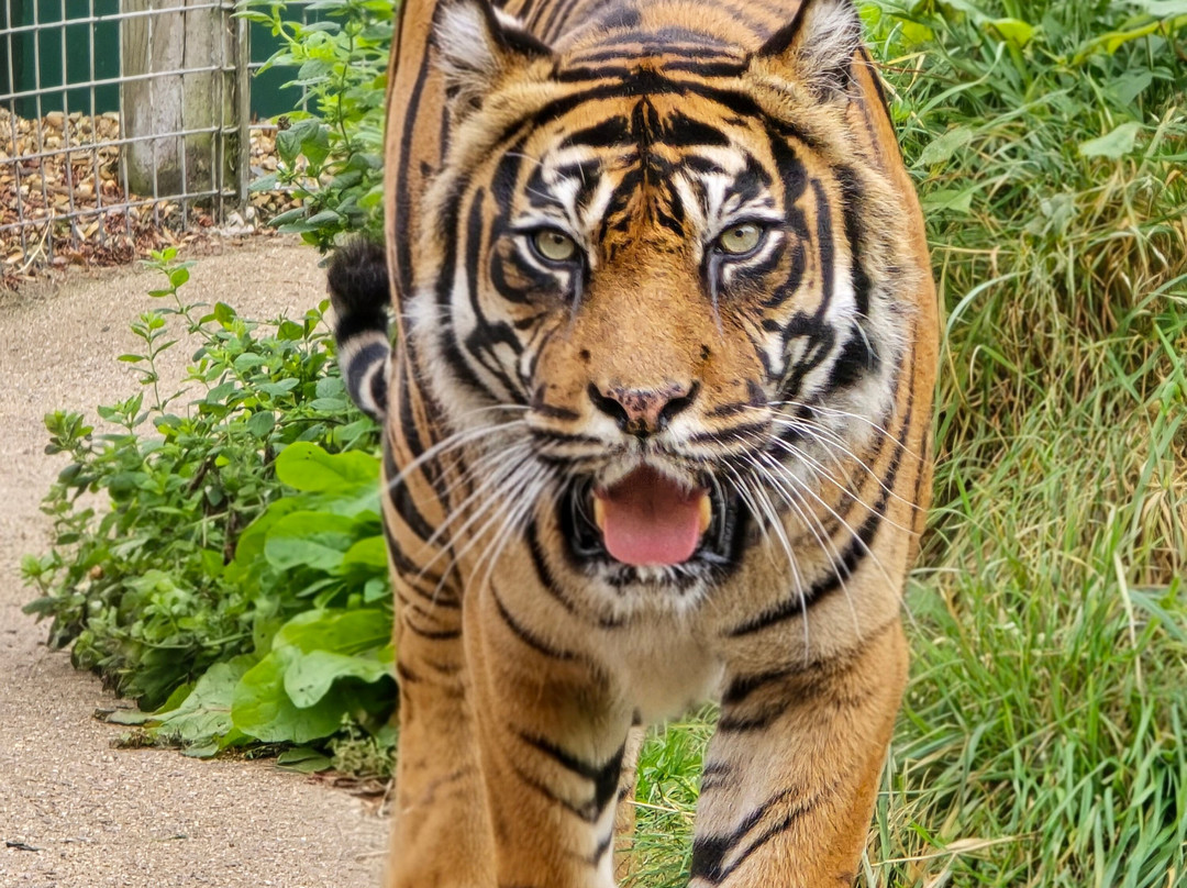 Shepreth Wildlife Park-Shepreth必去景点