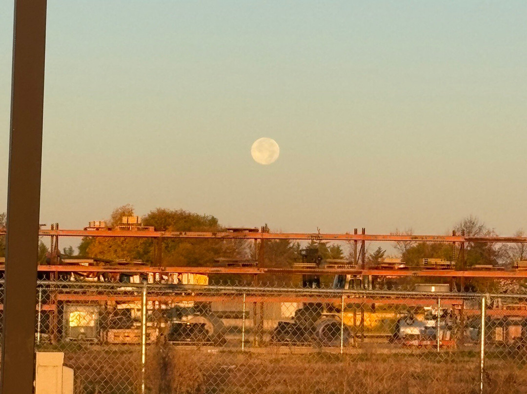 Spark By Hilton Minot主图