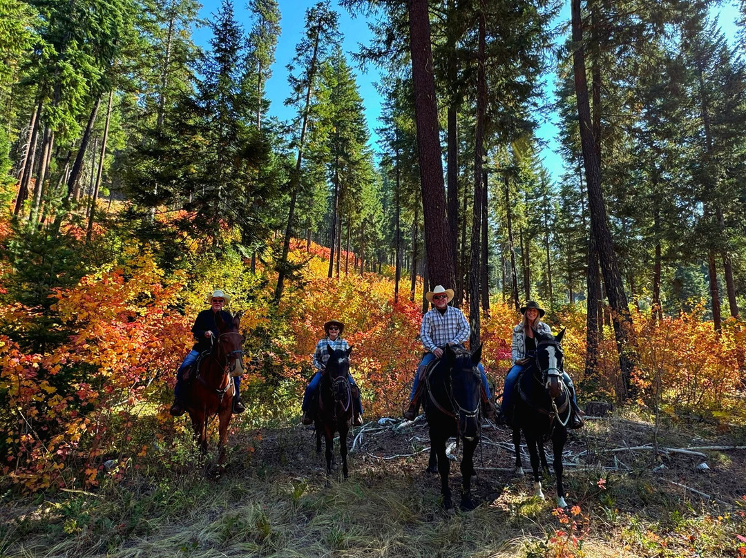 Wild At Heart Horse Rides-莱文沃思必去景点