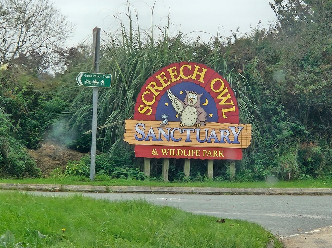 Screech Owl Sanctuary & Animal Park-St Columb Major必去景点
