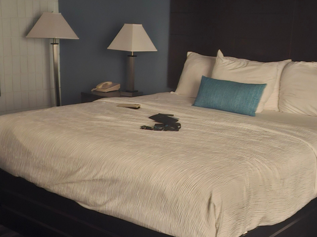 Baymont Inn And Suites By Wyndham Farmington主图