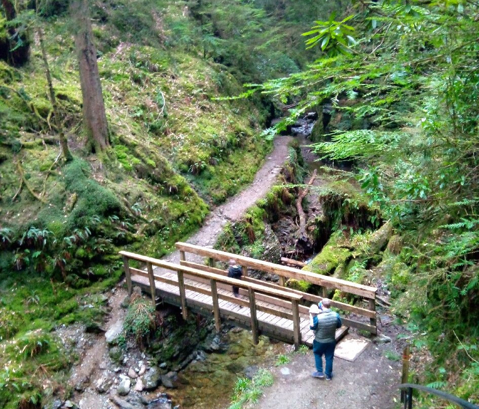 Puck's Glen-Benmore必去景点