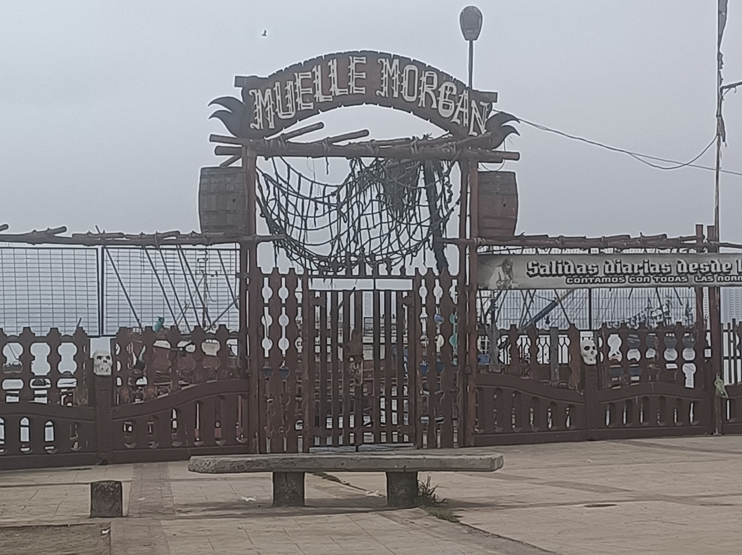 Puerto de Coquimbo-Coquimbo必去景点