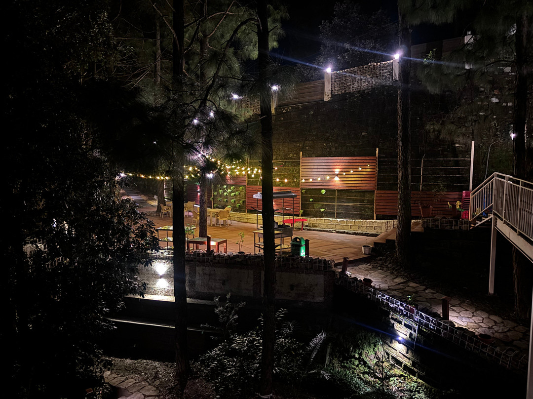 The Woods Retreat主图