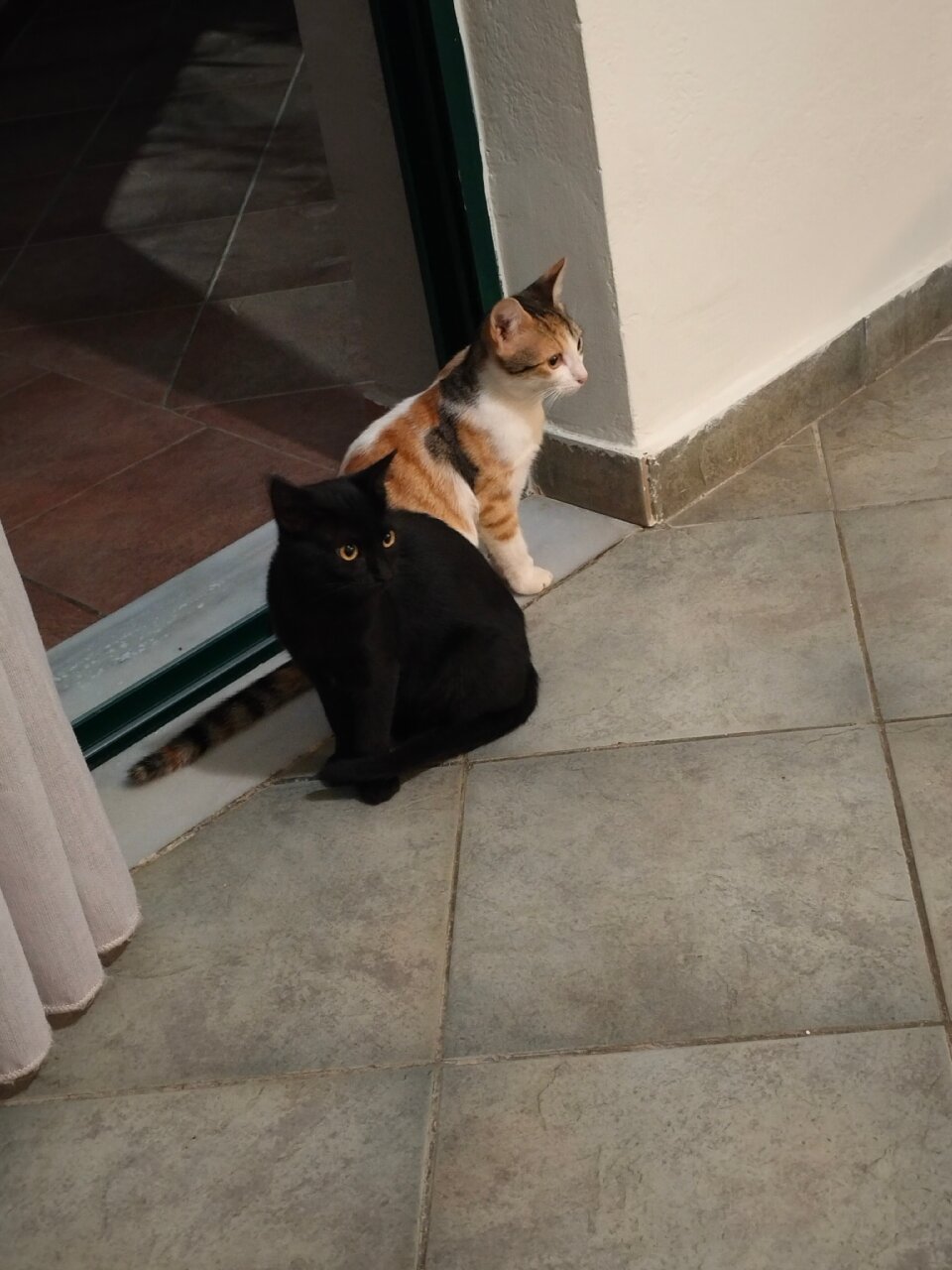 Hotel Romantica-官方