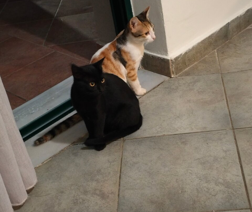 Hotel Romantica主图