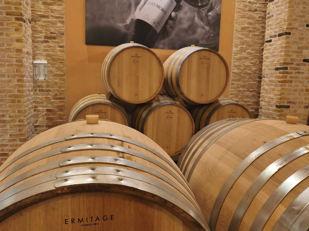 Bodegas Emilio Moro-Pesquera de Duero必去景点