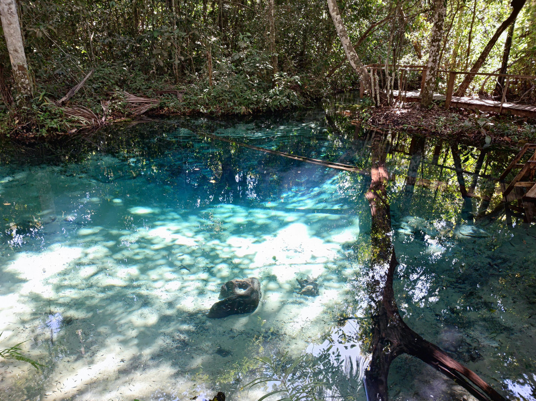 Aquário Encantado-诺布里斯必去景点