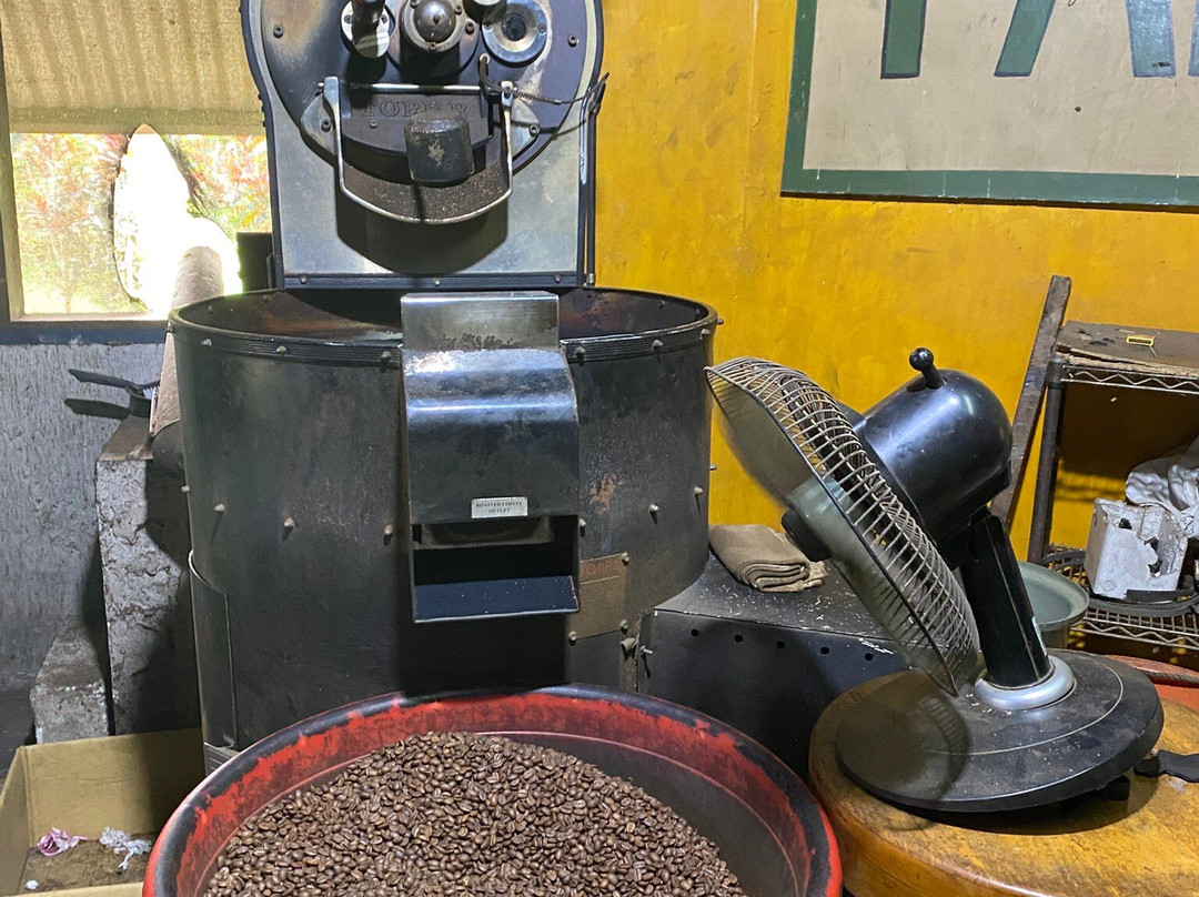 Tanna Coffee-维拉港必去景点