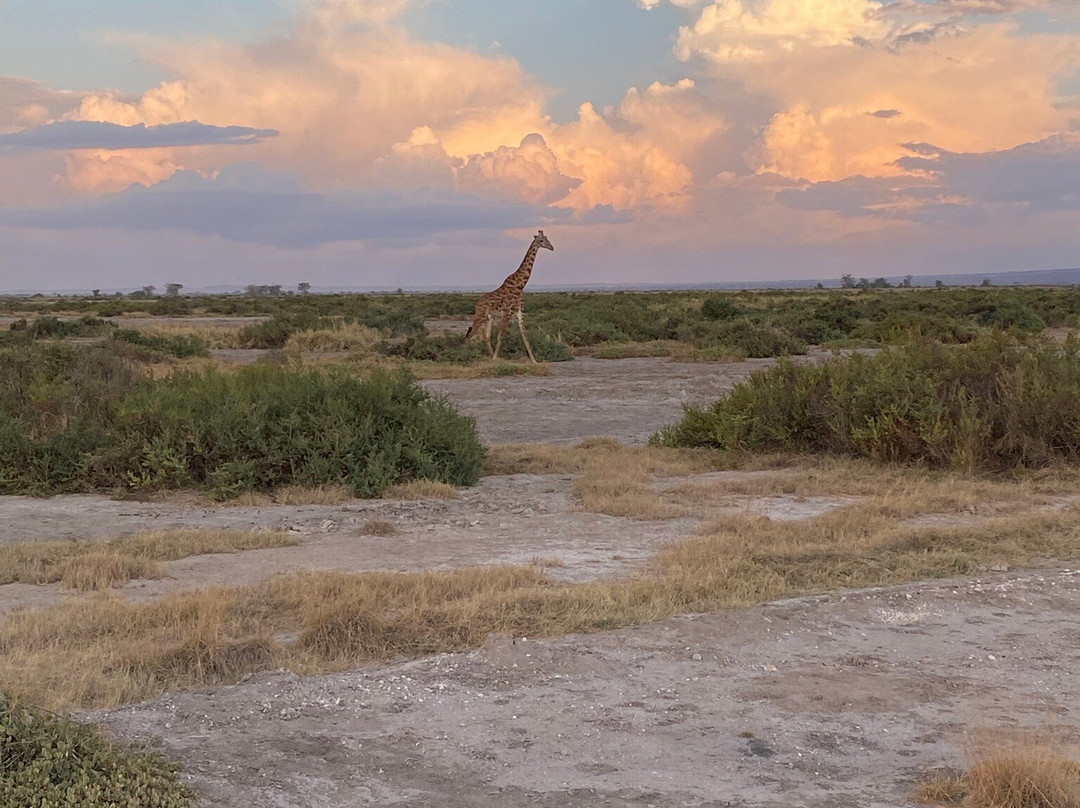 Antonio Safaris-Karen必去景点