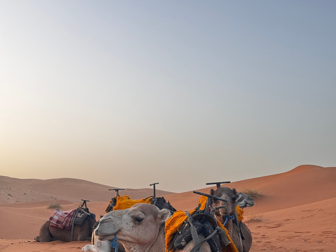 Holiday Morocco Tours-卡萨布兰卡必去景点