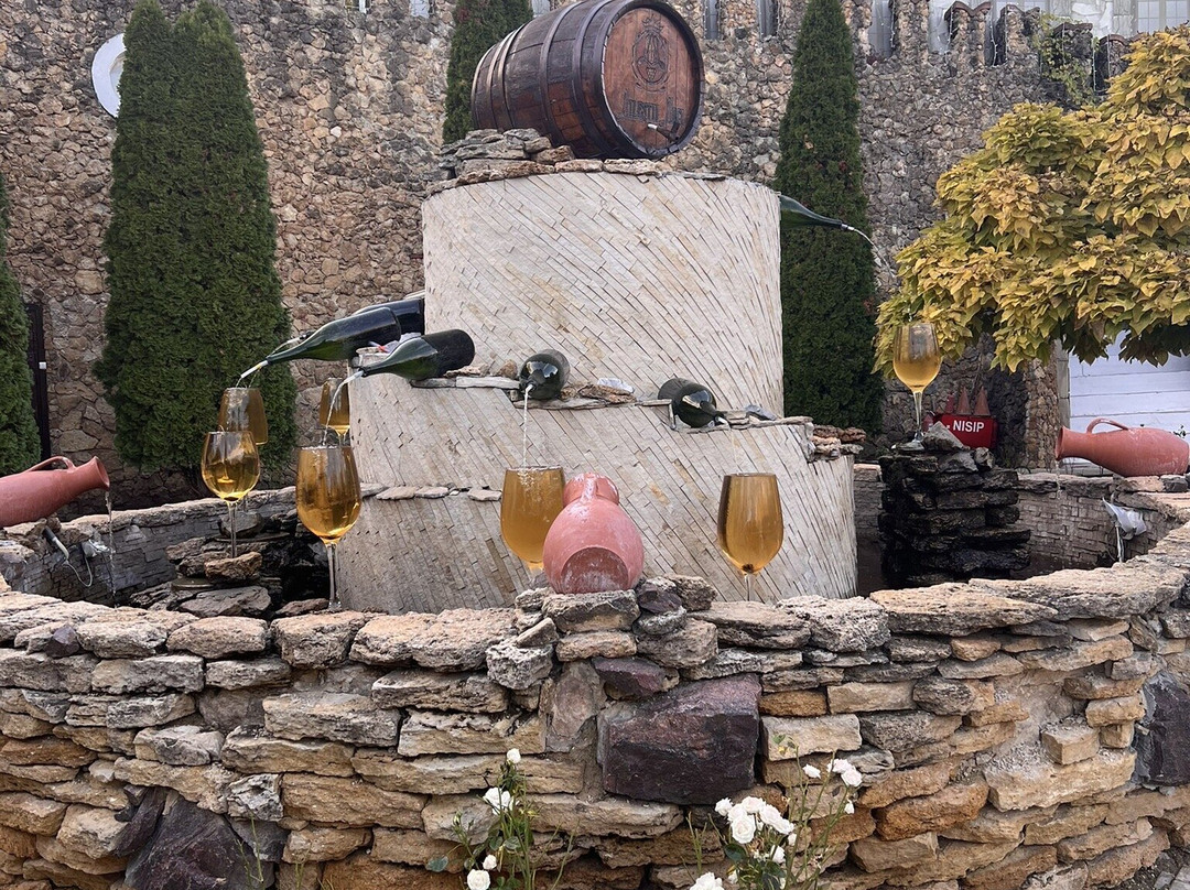Mileștii Mici Winery-Milestii Mici必去景点