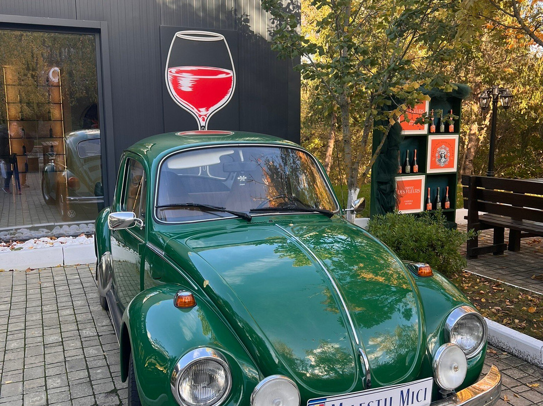 Mileștii Mici Winery-Milestii Mici必去景点