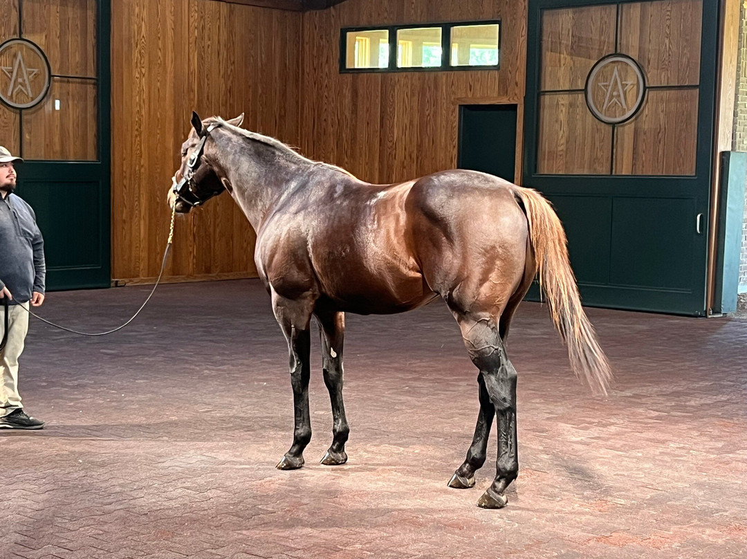 WinStar Farm-Versailles必去景点