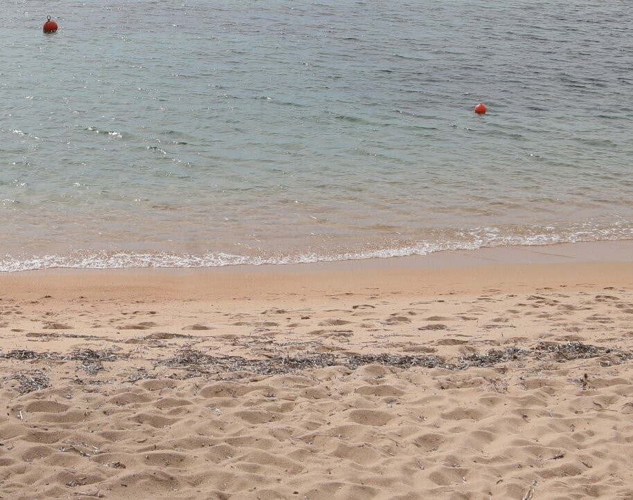 Anse de Medea-Pietrosella必去景点