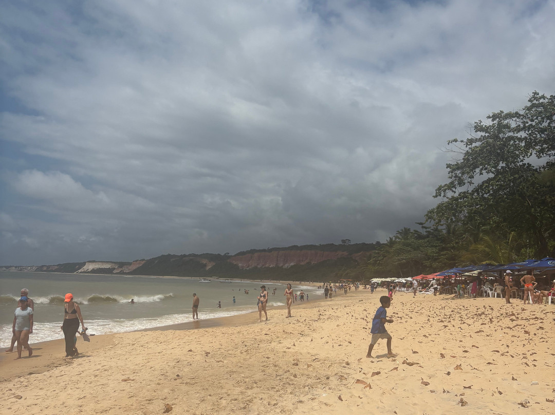 Pitinga Beach-Arraial d'Ajuda必去景点