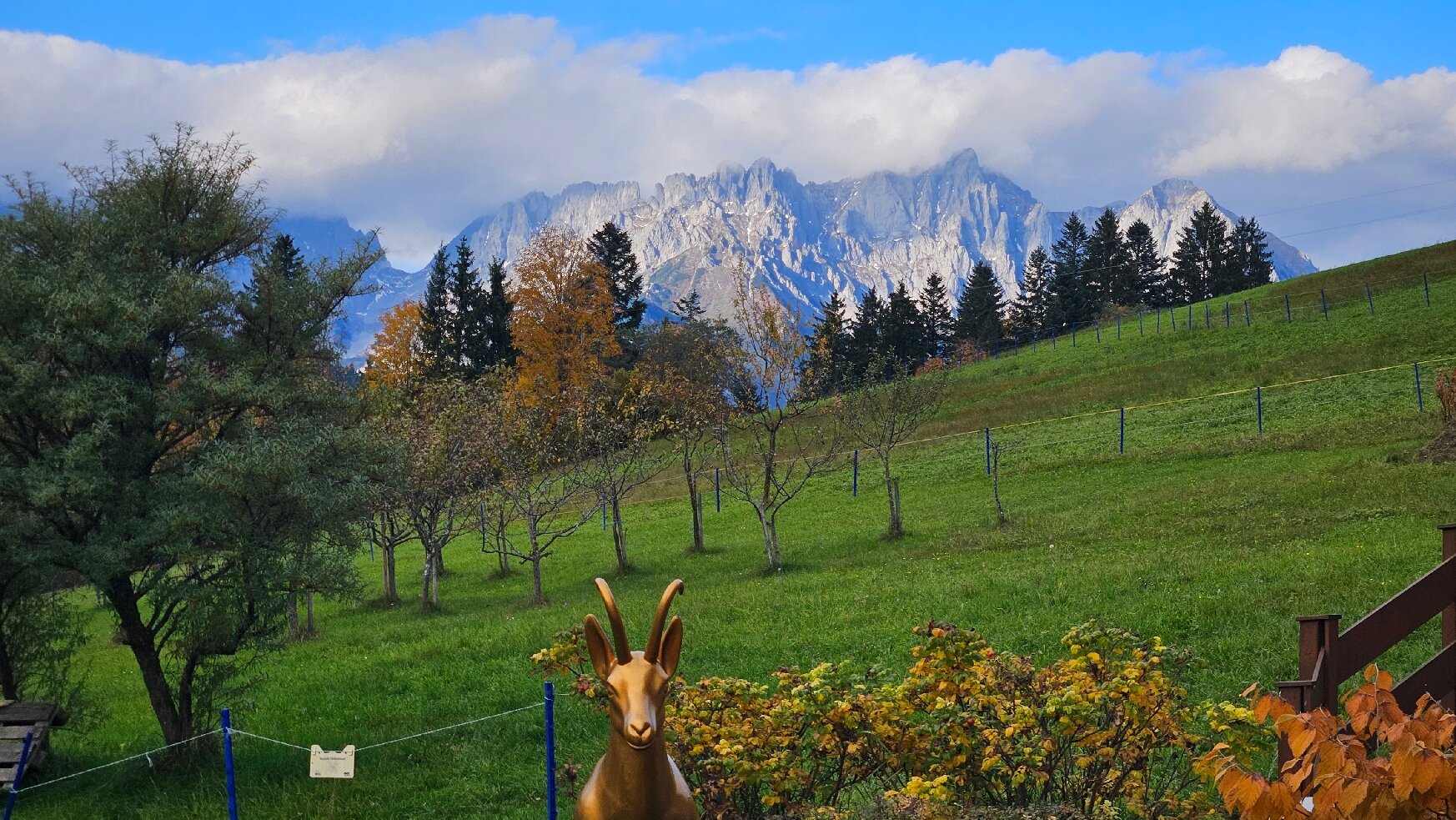 Hotel Pointner-官方