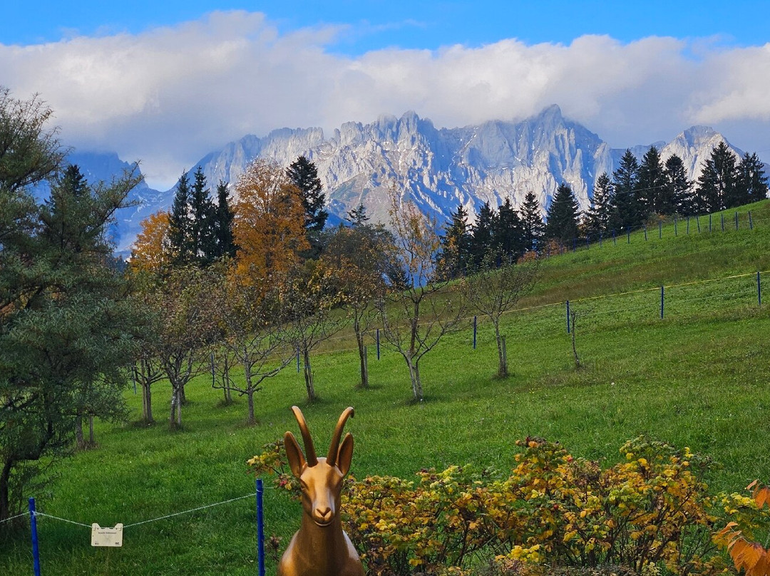 Hotel Pointner主图