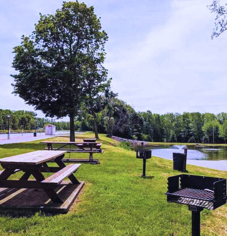 Hotel Kailash Palace