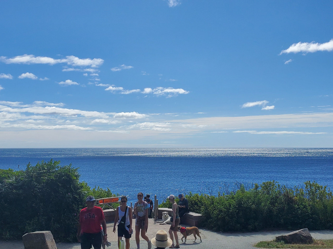 Thunder Hole-巴港必去景点