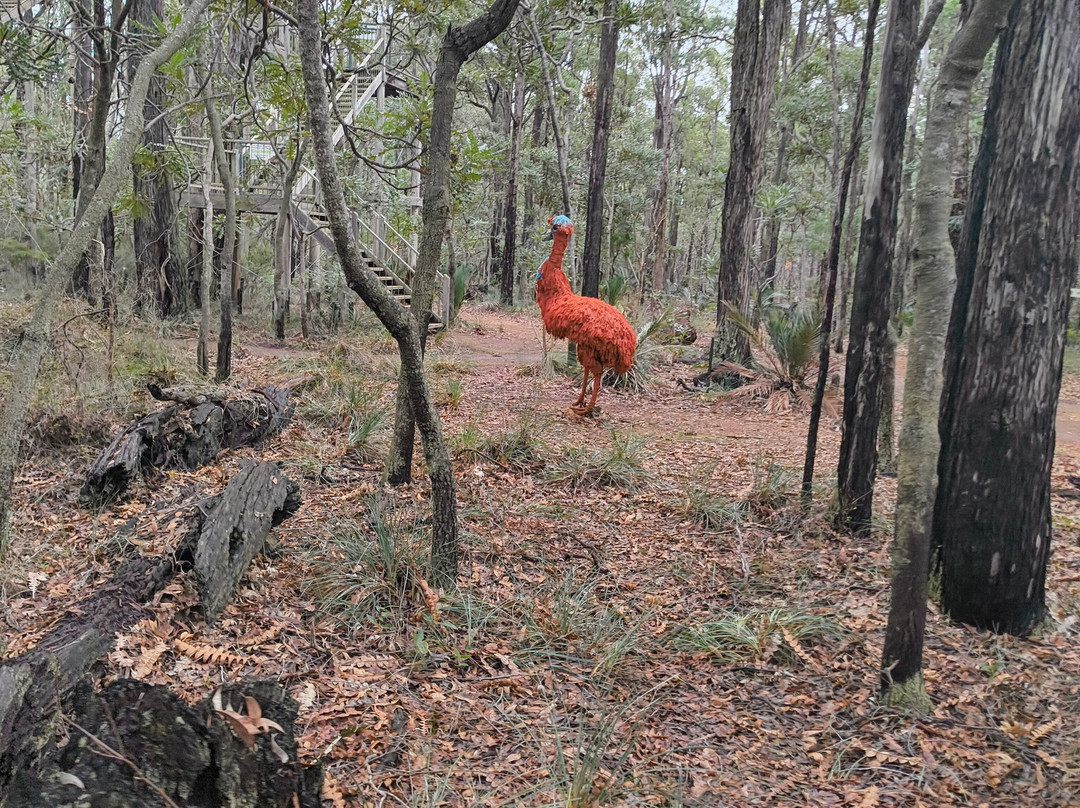 Forest Discovery Centre-Dwellingup必去景点