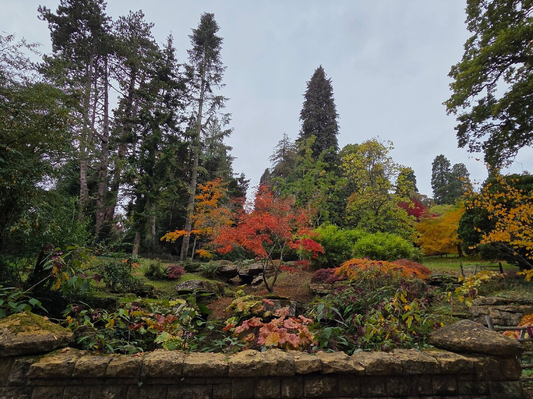 Batsford Arboretum-莫顿因马什必去景点