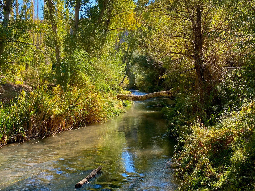 Gorgeous Travel - Daily Tours & Balloon Flights-格雷梅必去景点