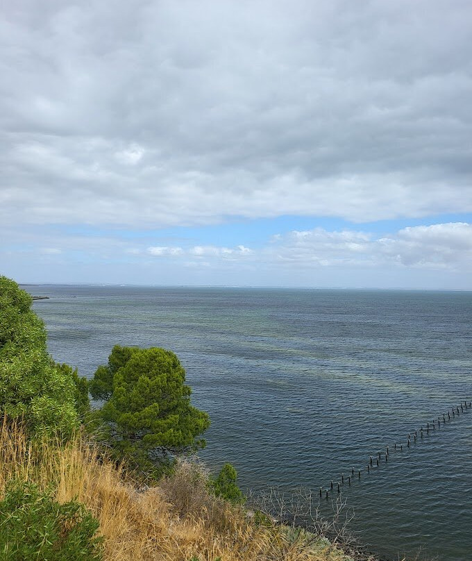 The Dell Picnic Area-Clifton Springs必去景点