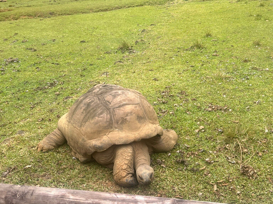 La Vallée de Ferney-马喜埔必去景点