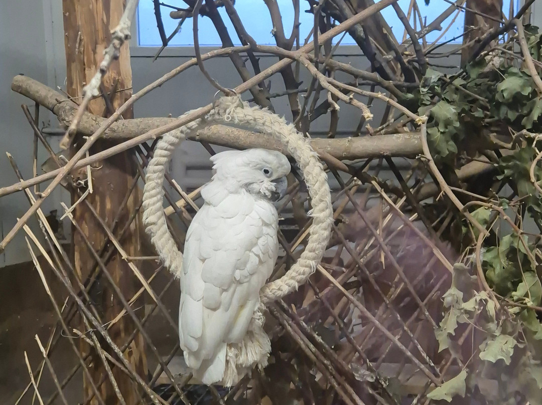 Bucharest Zoo-布加勒斯特必去景点