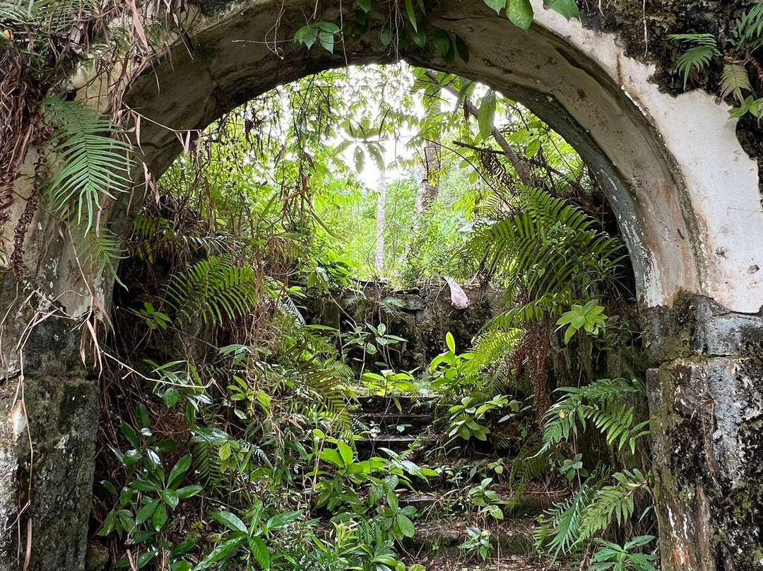 蓬恩加岛-Tanjung Pinang必去景点