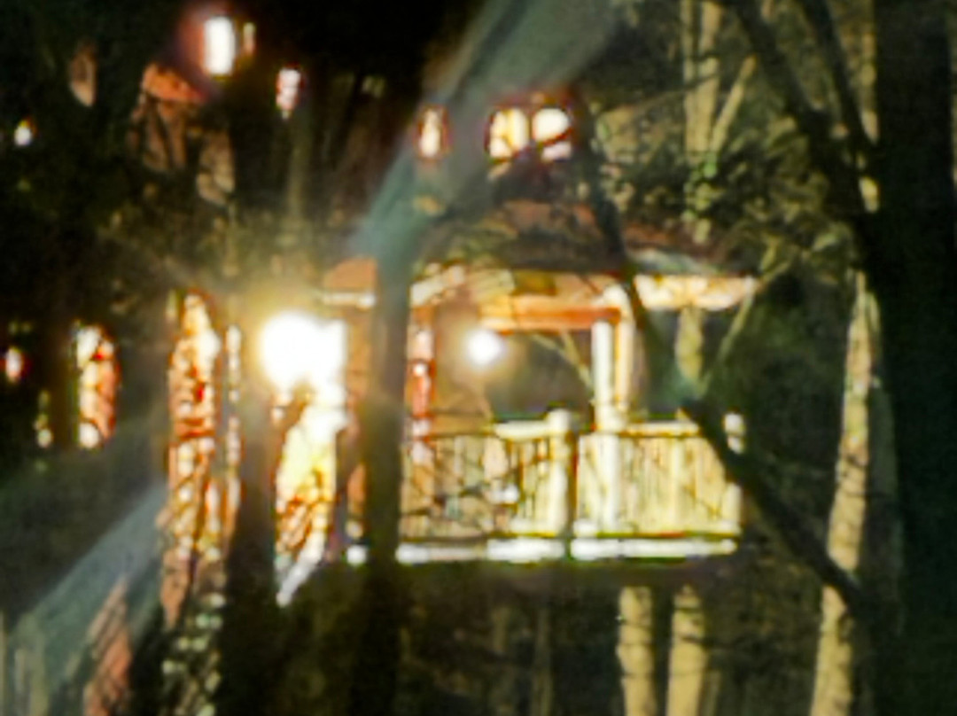 Moose Meadow Lodge & Treehouse主图