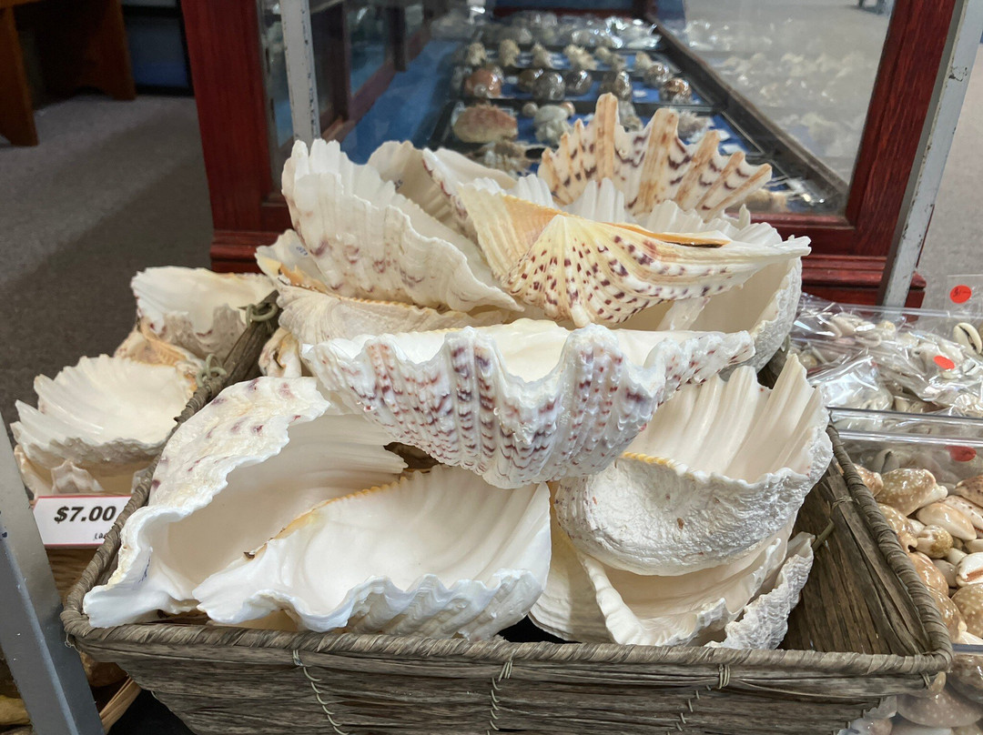 Shell World Yeppoon-Yeppoon必去景点