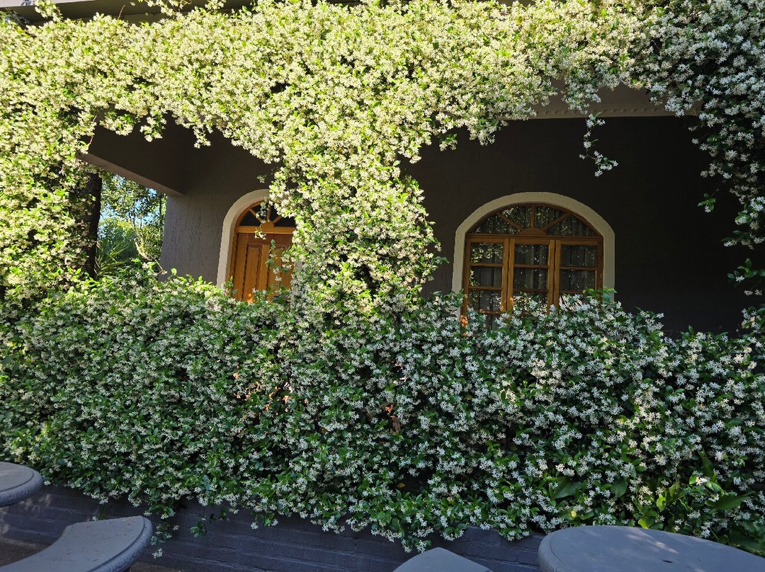 Hobbit Boutique Hotel主图