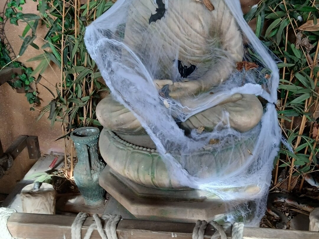 Drusillas Park-Berwick必去景点