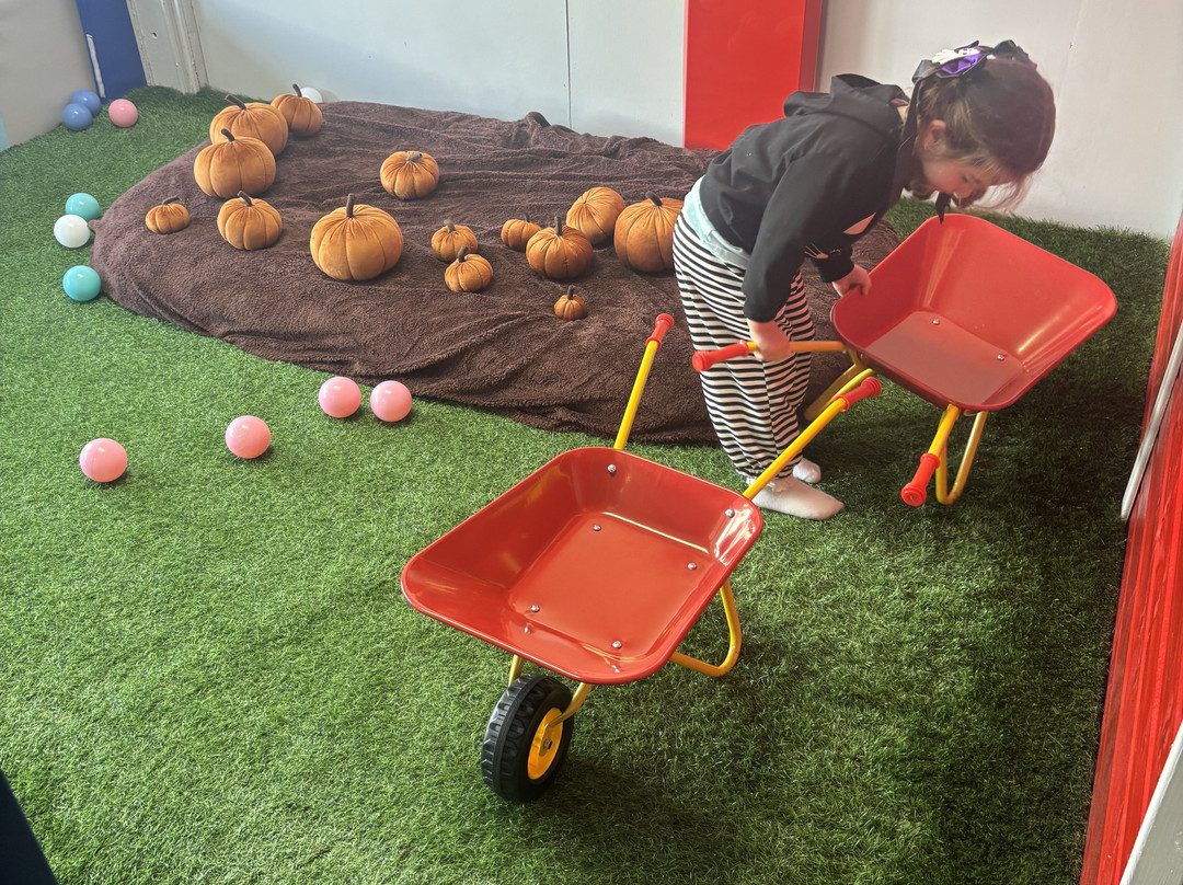 Townies Indoor Play-Hemsby必去景点