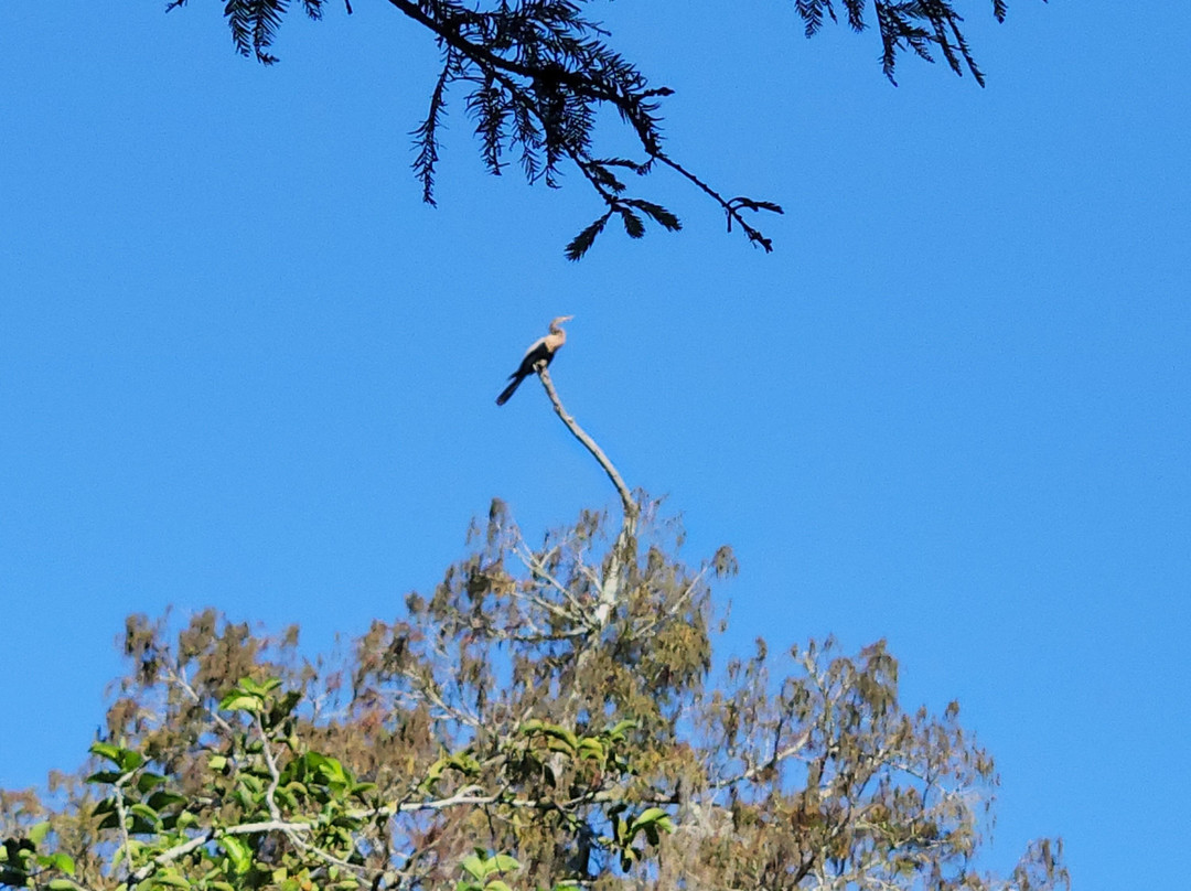 螺旋沼泽鸟兽禁猎区-那不勒斯必去景点