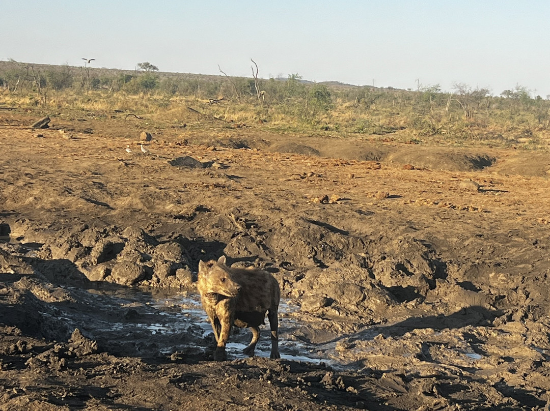 MoAfrika Tours-约翰内斯堡必去景点