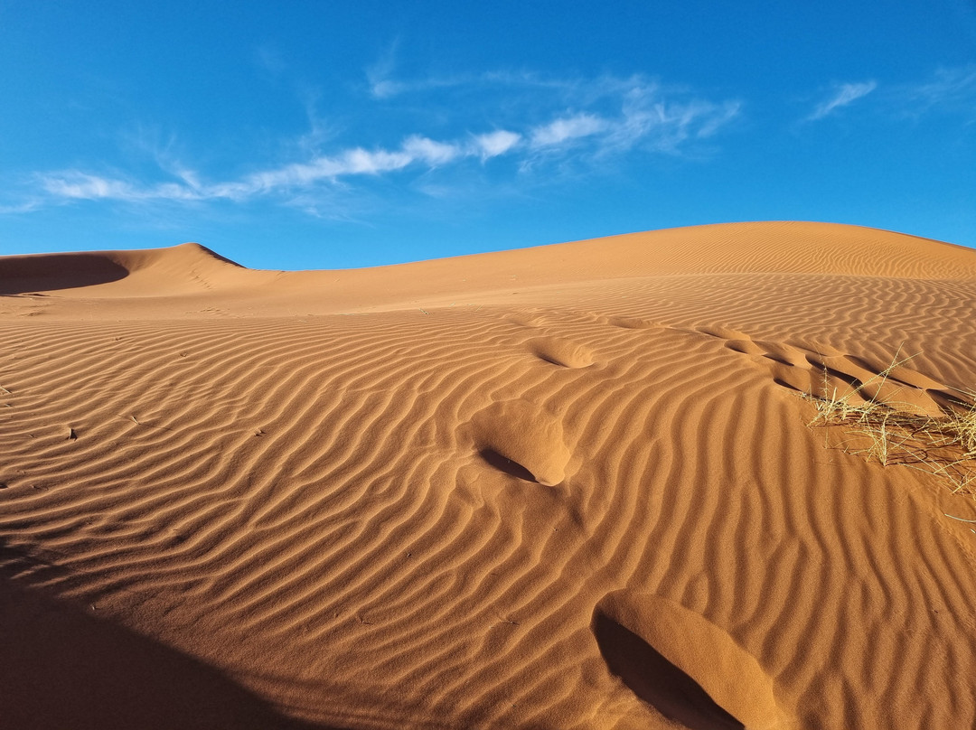 Mopane Viaggi-温德和克必去景点